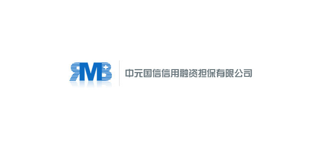 中元国信信用融资担保有限公司 中元国信信用融资担保有限公司